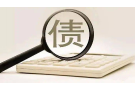 莎车如何避免债务纠纷？专业追讨公司教您应对之策